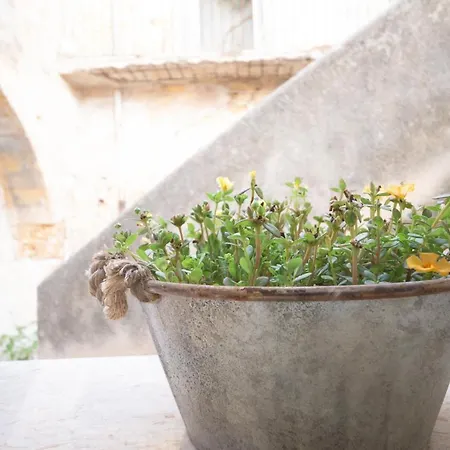 San Michele Bed & Breakfast